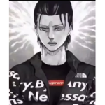 Attack On Titan: Last Assault