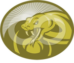 order of the viper