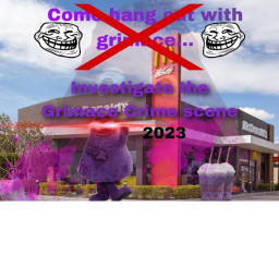investigate the grimace crime scene of 2023!!