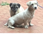 Tito y gabiii