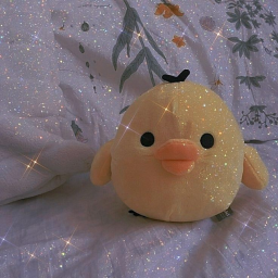 ✨
