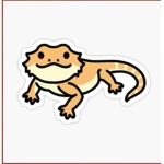 -Beardie Army- <3