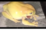 I love frogsssssssssssssssss