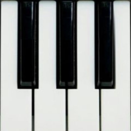 ˖ ݁♬⋆.˚𝄞