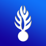 Académie de Militaire Français