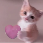 ‘awe