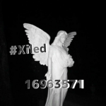#xiled
