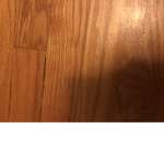 I eat wood