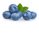 BIueberry Squad