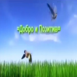 БаZа Гномваффена
