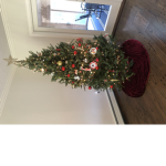 Joy Christmas
