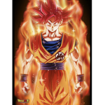 Ssj1013