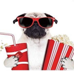 popcorn pugs