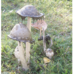 Gloomy Mushroomz