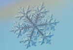 Snow Studios Group
