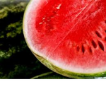 Watermelown Fan Club