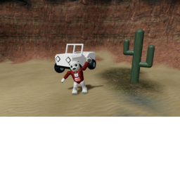 Polar Bear Racing!