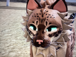_|{ NPC Hunters of WCUE }|_