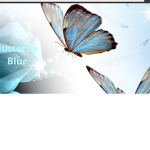KaraButterflyQueen