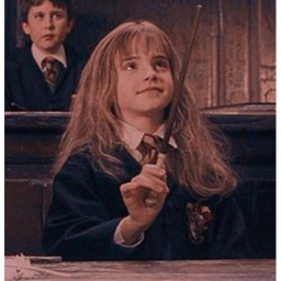 LevioSa