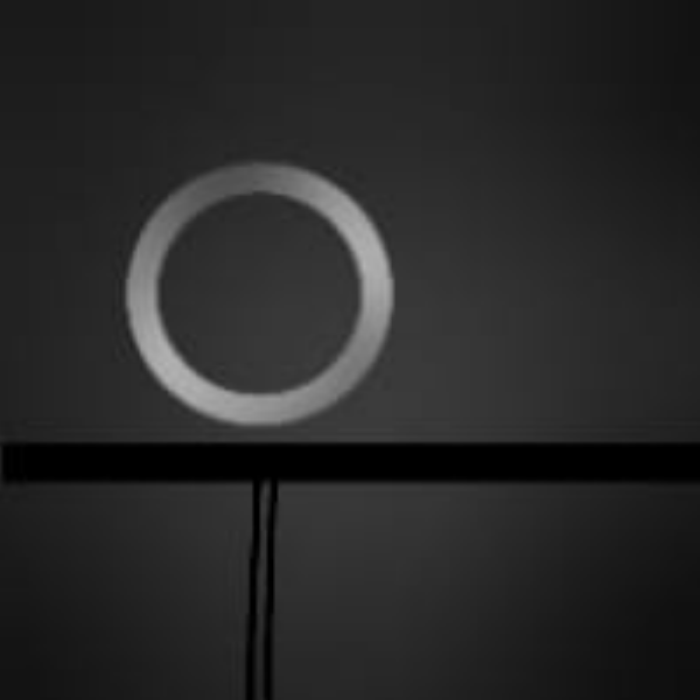 squid game circle guard. read desk Roblox decal