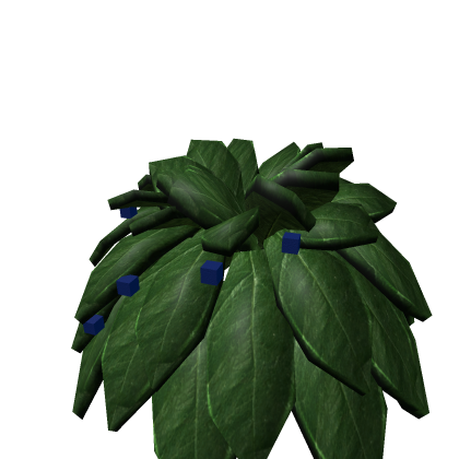 Juniper Bush Herb