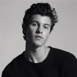 #Shawnmendes's Place Number: #