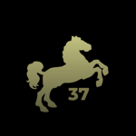37 Studios