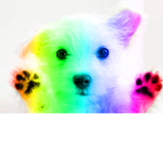Hyper Pups