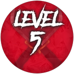 Level 5