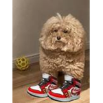 _coolclothingforreal_