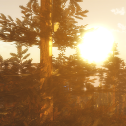 Forest Showcase