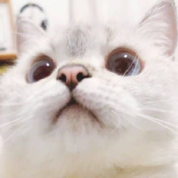 ☆