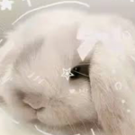 яσѕу’ѕ ¢σяηєя •ᴗ•