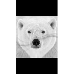icy polar bear squad
