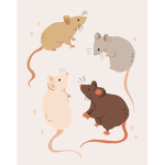Worship Rats