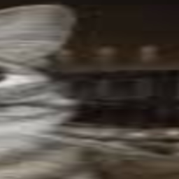 ･ ͜ʖ ･
