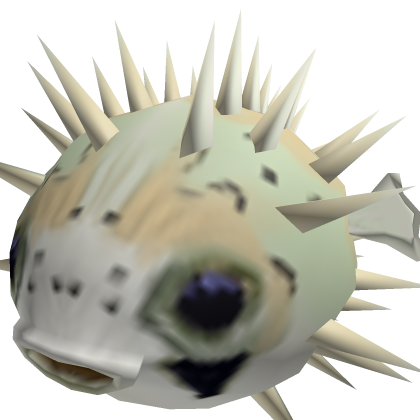 FOLLOWING NEW PET PUFFER FISH