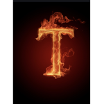 #T GANG