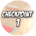 Checkpoint 1