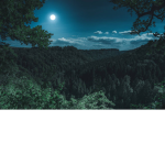 ||~ M1DN1GHT ~||