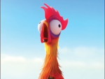working around the cluck