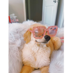 Sunnyflop clothes