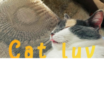 #Catluv