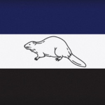 Regiment Starschadel