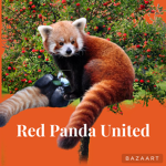 Red Panda United!!