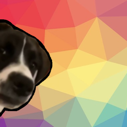 What The Dog Doing?