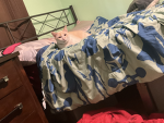 Only koolcat