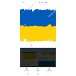 The National Ukraine Battle Force