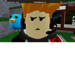 VIVAANPLAYZ OFFICIAL FAN GROUP